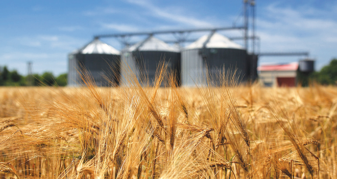 wheat-field-silo
